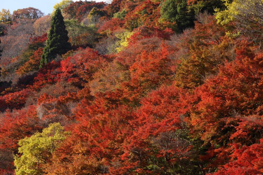 료칸 가토 호텔 요시노 외부 사진